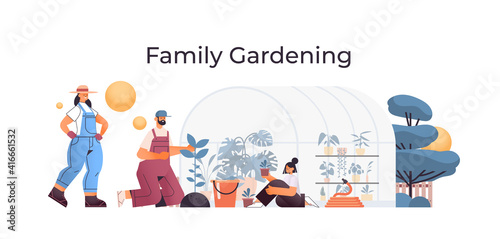 parents and daughter taking care of plants family working together in greenhouse gardening concept full length horizontal vector illustration