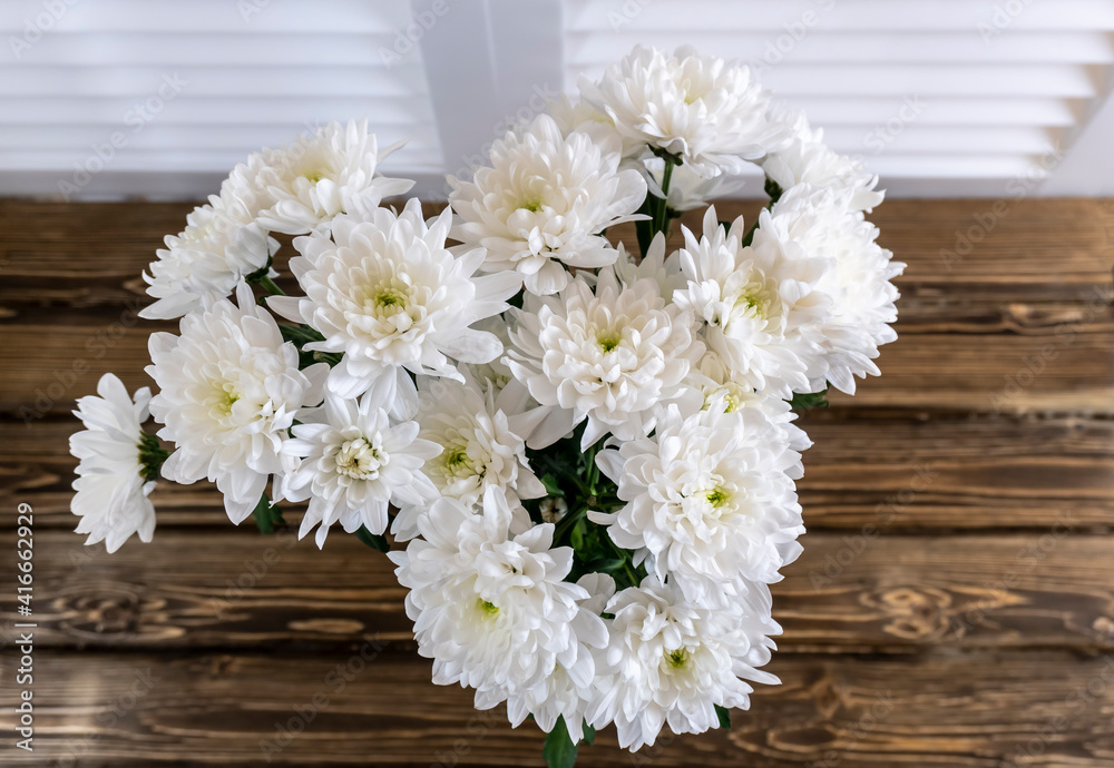 White chrysanthemum flowers on wooden background White chrysanthemum flowers on wooden background