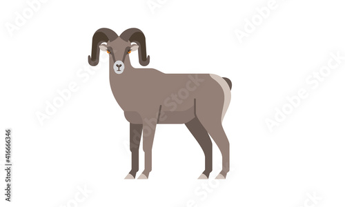 North American native animal Bighorn Sheep ram (Ovis canadensis) side angle view, flat style vector illustration isolated on white background