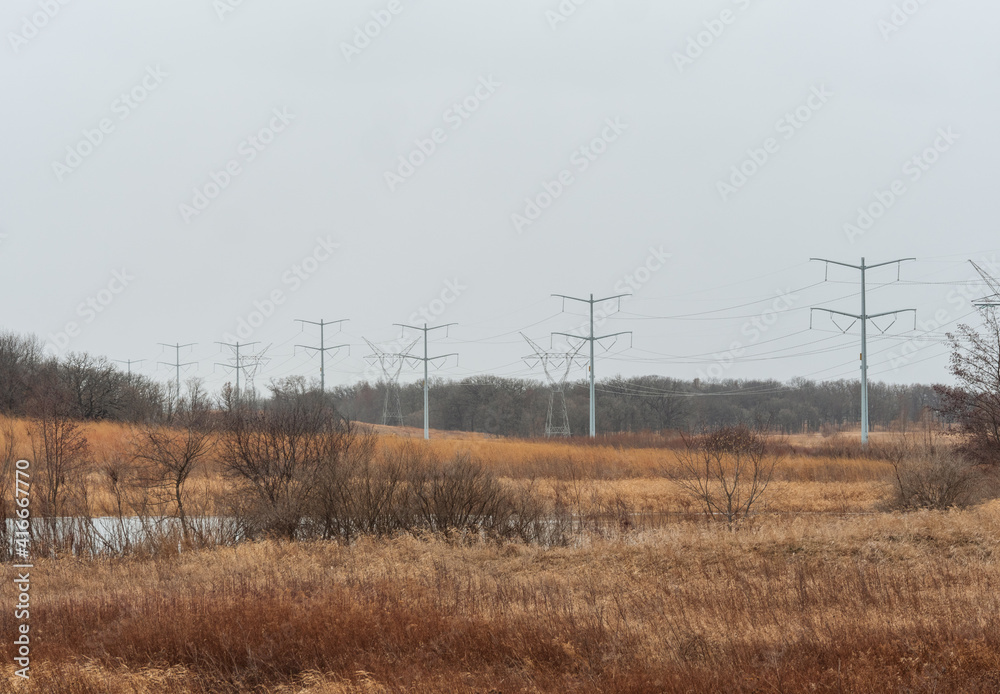 Power lines at forest preserve Power lines at forest preserve