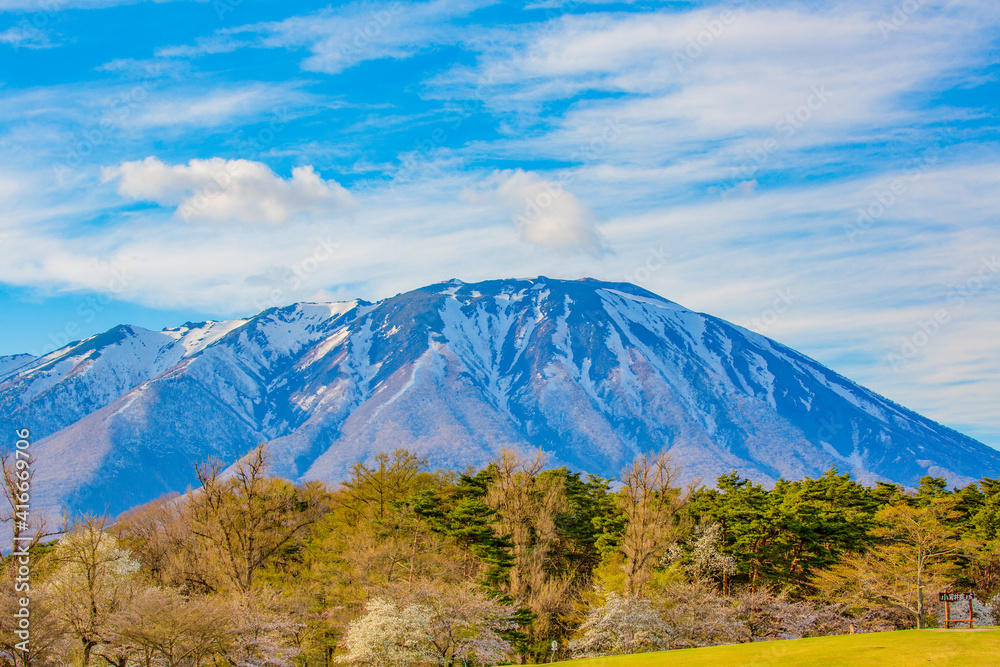 Fototapeta premium 初春の岩手山
