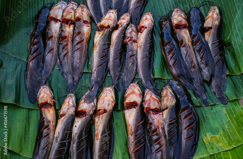 Raw fresh catfish