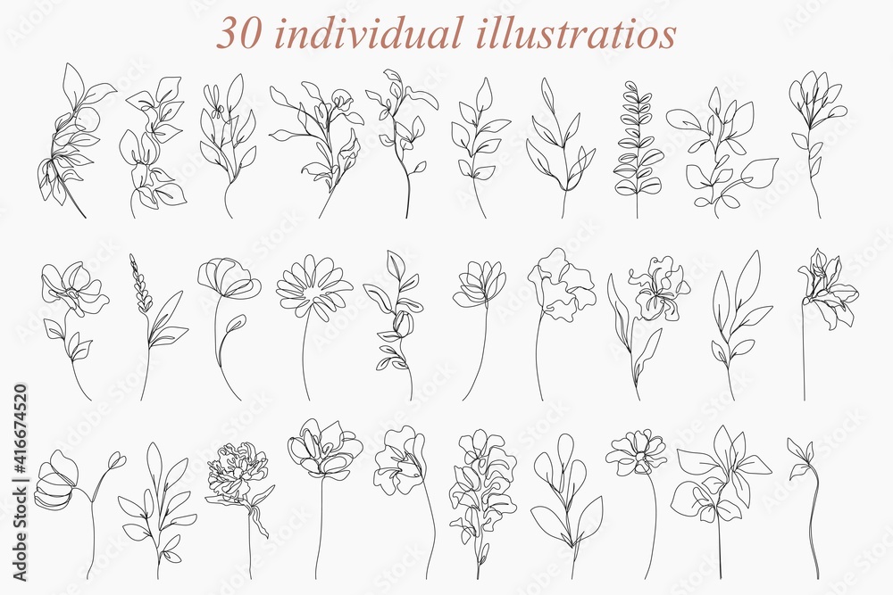 Continuous Line Drawing Set Of Plants Black Sketch of Flowers Isolated on White Background. Flowers One Line Illustration. Minimalist Prints Set. Vector EPS 10. - obrazy, fototapety, plakaty 