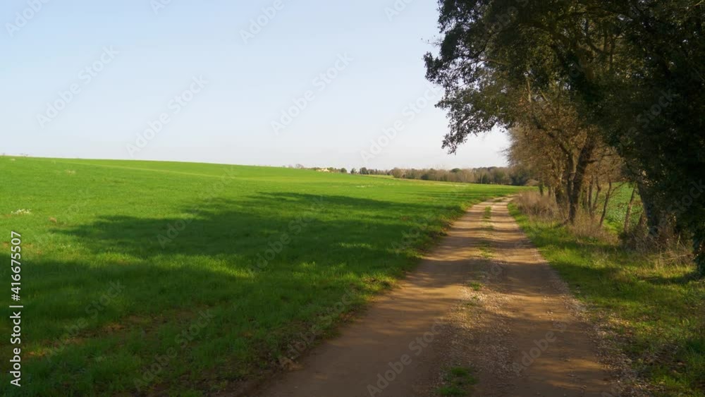 Beautiful green field just sown with blue sky and trees in the background and mountains Beautiful green field just sown with blue sky and trees in the background and mountains