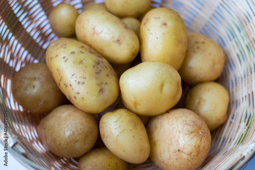 selective focus of potatoes in a bucket with white background. selective focus of potatoes in a bucket with white background.