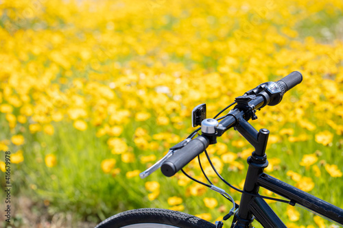 お花畑の上に自転車のハンドル photo