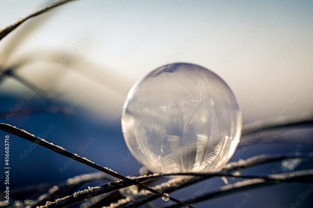Frozen Bubble - gefrorene Seifenblase Frozen Bubble - gefrorene Seifenblase