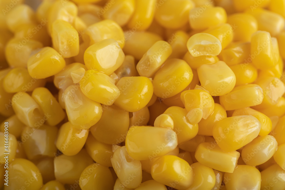 Pile of canned sweet corn seeds Pile of canned sweet corn seeds