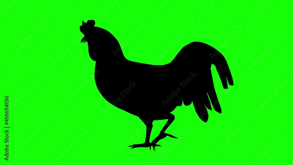 Silhouette of a rooster walking, on green screen, side view. Animal silhouettes seamless loop 3D animation.