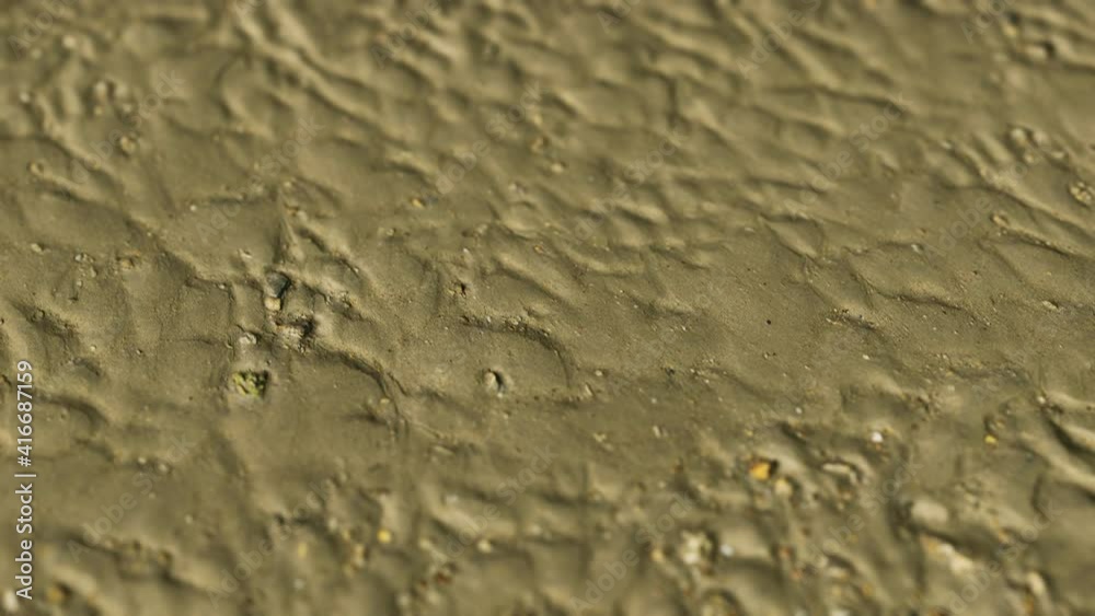 Lines in the sand of a beach Lines in the sand of a beach