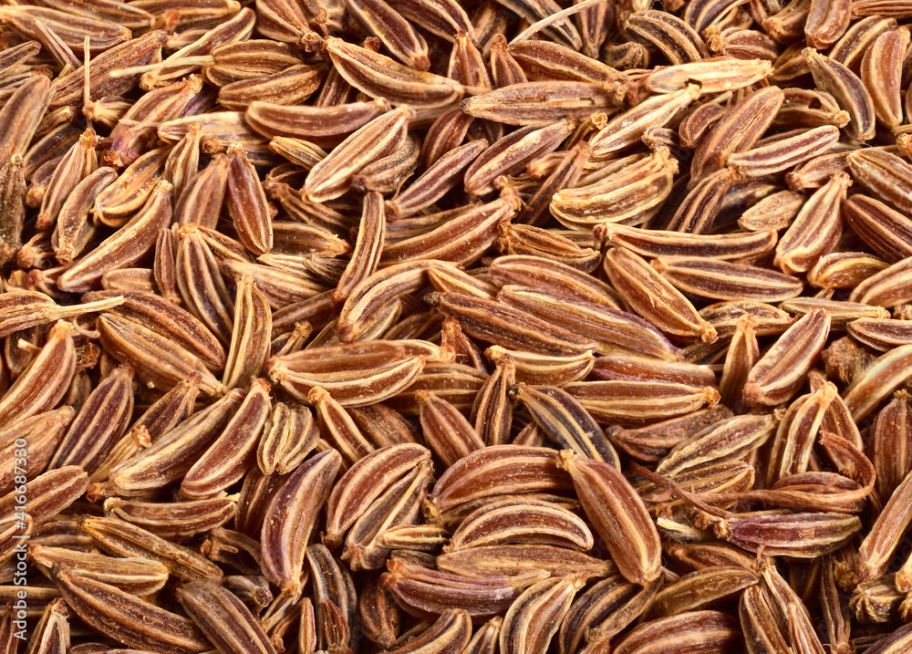 Caraway Seed (Fruit) Background. Focus Stacking.