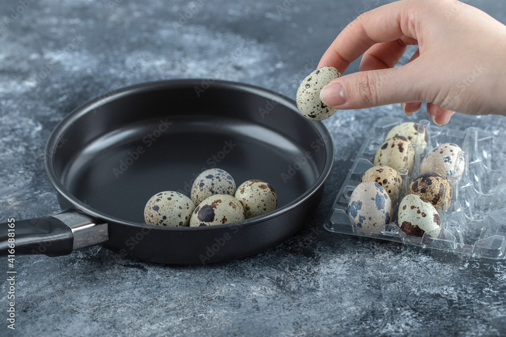 Female hand putting quail hand frying pan Female hand putting quail hand frying pan