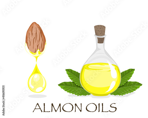Isolated a drop of almond oils from almond seed and glass bottle with leaves decoration. Close up hand drawing natural ingredients vector illustration.  