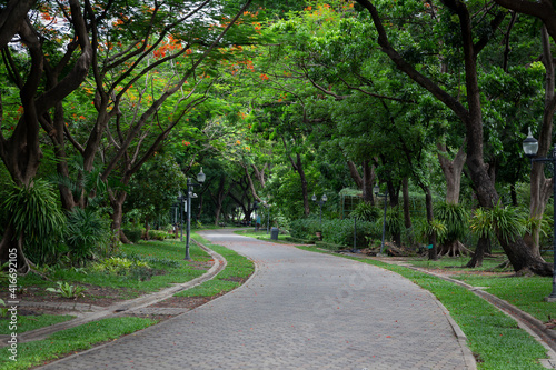 Fototapeta Naklejka Na Ścianę i Meble -  The wide pathway in the botanical garden in Bangkok, on both sides of the shade of large trees, gives a fresh feeling when people come to do activities.