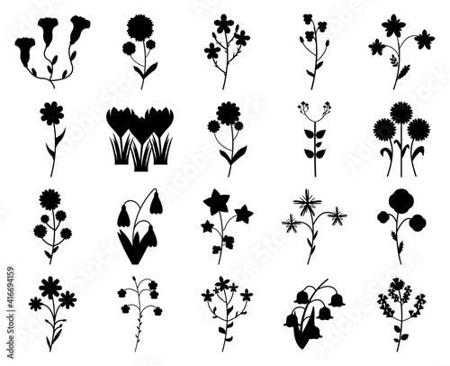 Set of silhouettes of wildflowers isolated on a white background. Flowers vector illustration.