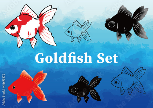 金魚　セット
