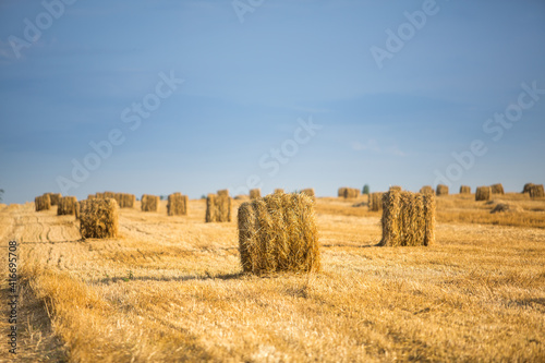 hay bales in the field © PEPPERSMINT