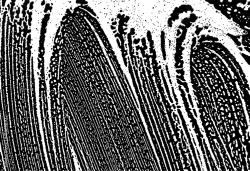 Soap grunge backgrounds. Foam textures set. Foam water. Soap bubble stains. Shampoo. Soap texture. Foam grunge overlay. Foaming. Shower gel. Shaving cream. Bath. Laundry detergent. Cleaning. Washing.