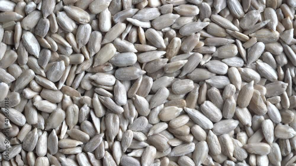 Peeled sunflower seeds pile background, close up, top view, rotates Peeled sunflower seeds pile background, close up, top view, rotates