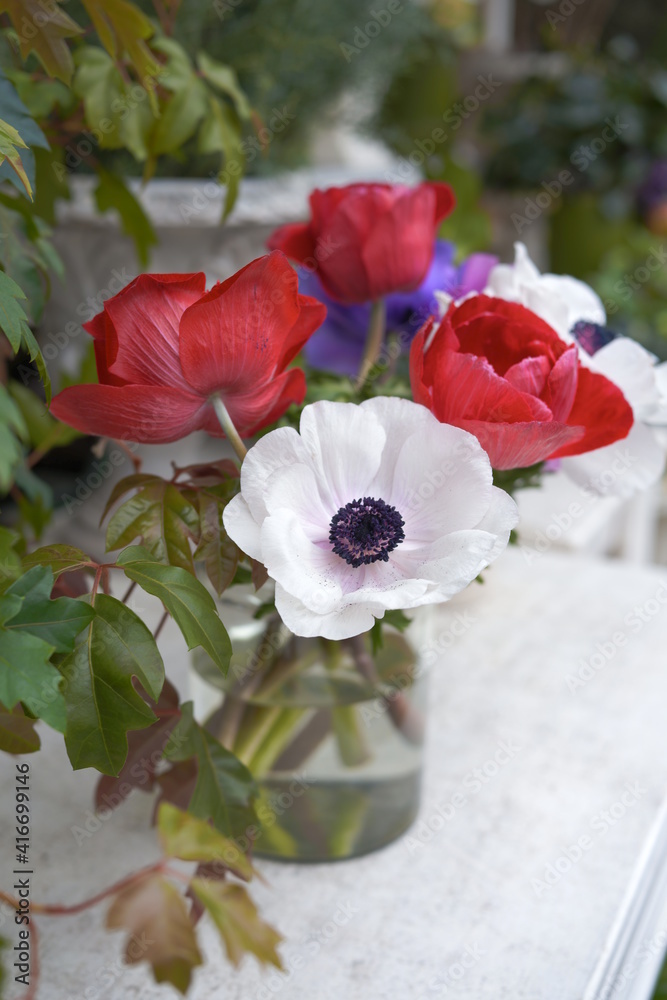 red poppies in a vase red poppies in a vase