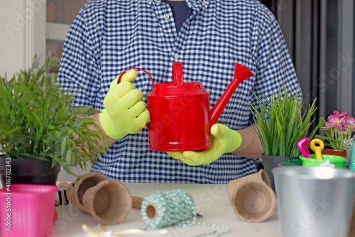 A man in yellow gloves and a plaid shirt pours indoor flowers at home from a red watering can. Home floriculture and gardening hobby background