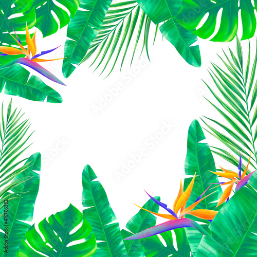 Hand dawn tropical plants and flowers arranged in composition. Realistic tropical digital illustration. Frame of exotic leaves and flowers.