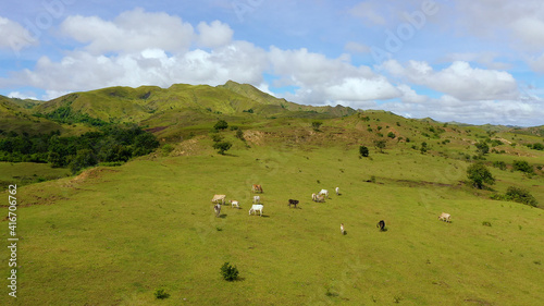 Beautiful landscape on the island of Luzon, aerial view. Green hills and blue sky with clouds. Beautiful landscape on the island of Luzon, aerial view. Hills and mountains are covered with meadows and © Alex Traveler