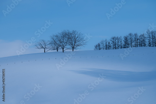 冬美瑛の樹影かかる丘