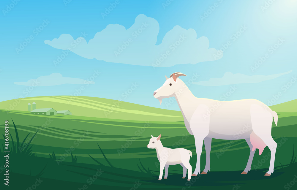 Vector illustration landscape with cow and little baby goat on pasture with ranch on the background.  Scenery of farm on green fields, bright and natural.