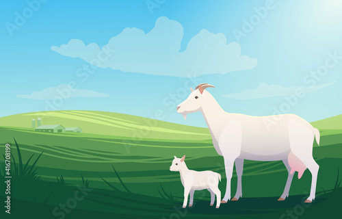 Vector illustration landscape with cow and little baby goat on pasture with ranch on the background.  Scenery of farm on green fields, bright and natural.