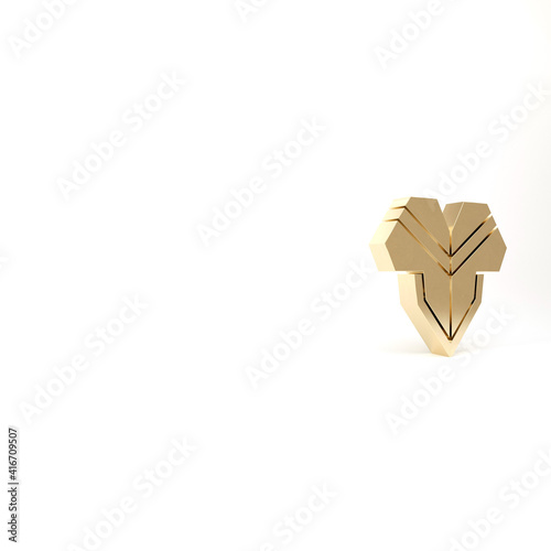 Gold Traditional mexican poncho clothing icon isolated on white background. 3d illustration 3D render.