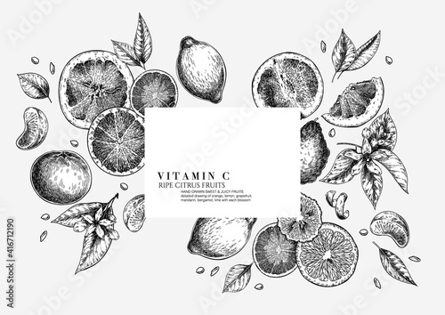 Citrus fruit set. Hand drawn orange, lemon, grapefruit, mandarin, lime, bergamot, leaves with bloosm and branches. Vector engraved composition Restaurant branding, cosmetic package design, menu.