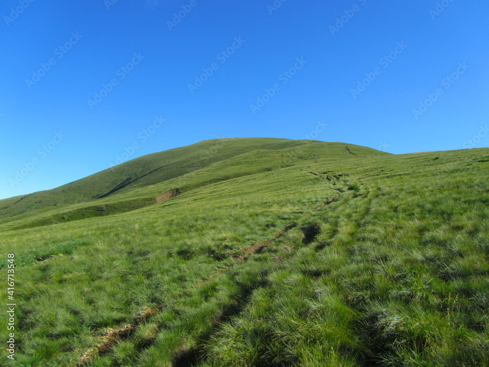 The meadows of Monte Bar, a mountain in Switzerland, under the blue sky