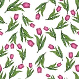 Seamless pattern. Pink tulips on a white background. Painting with watercolors and ink. Illustration for the decor and design of posters, postcards, prints, stickers, invitations, textiles.