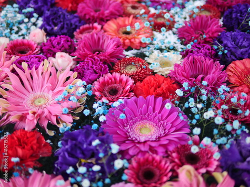 Multi-colored beautiful flower background