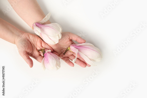 close-up of hand of elderly woman on light background, holding buds of spring flowers, magnolia, concept of awakening of nature, aroma of plants, anti-aging cosmetology and care for aging skin