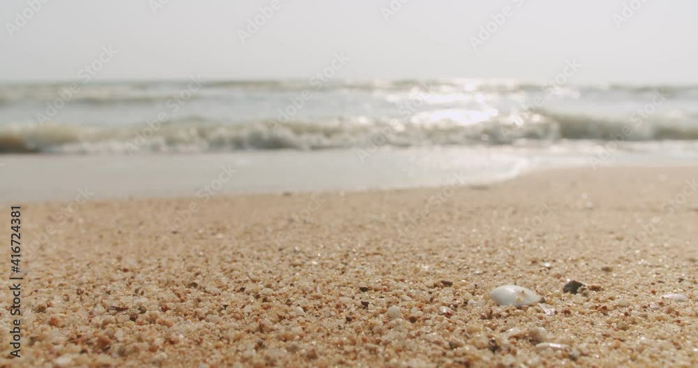 Small shell on sandy tropical beach with waves lapping on background in afternoon sunny day at Jomtien Beach, Pattaya, Thailand Small shell on sandy tropical beach with waves lapping on background in afternoon sunny day at Jomtien Beach, Pattaya, Thailand