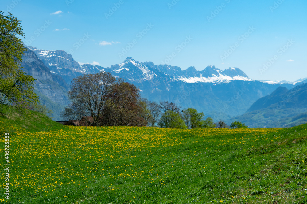 View over a beautiful meadow to Walensee, a lake in Switzerland, and mountains