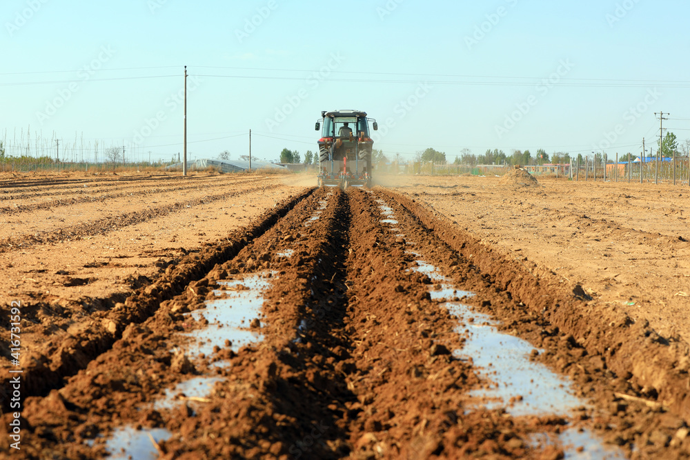 Fototapeta premium Farmers drive seeders to grow Plastic Mulched peanuts on the farm.