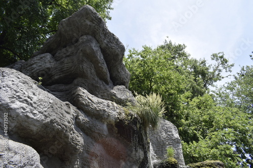 rocks in the park