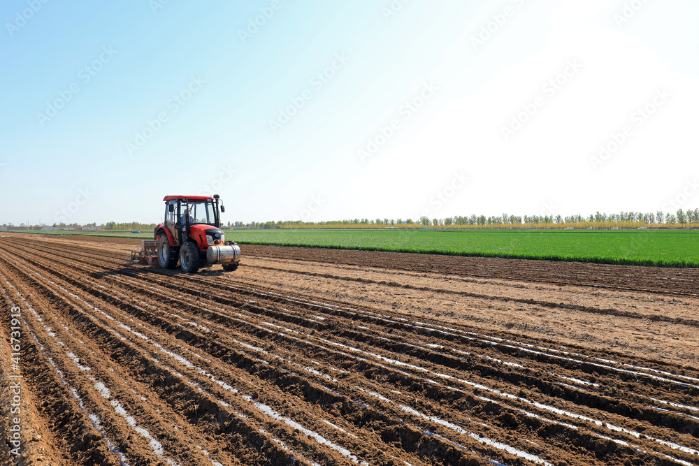 Fototapeta premium Farmers drive seeders to grow Plastic Mulched peanuts on the farm.