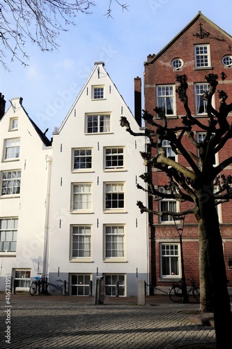 Amsterdam Street View with White and Brown House Facades and Winter Tree
