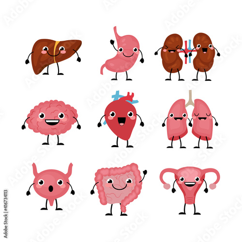 Happy smiling  cute   organ characters  in a flat cartoon style. Liver, heart, intestines, brain, vagina, bladder,kidneys and lungs.