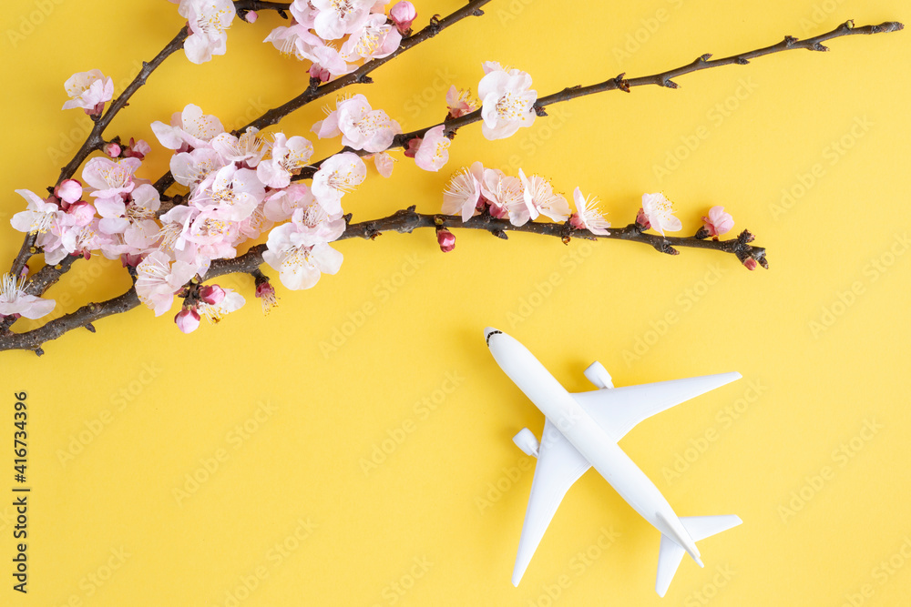 Flat lay with copy space. Model airplane and branches of cherry blossoms during flowering on a yellow background.