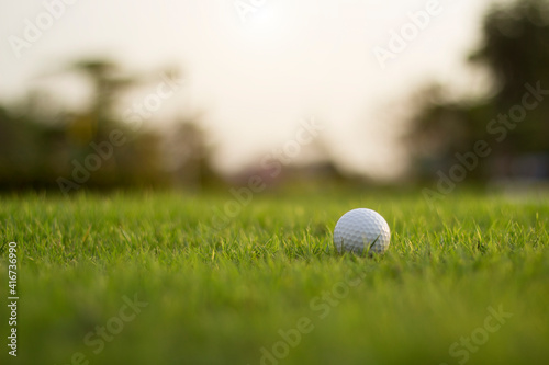 golf ball is on a green lawn in a beautiful golf course