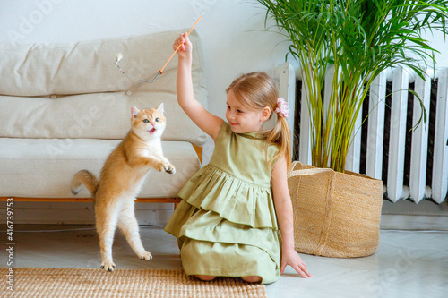 little girl playing with cat at home