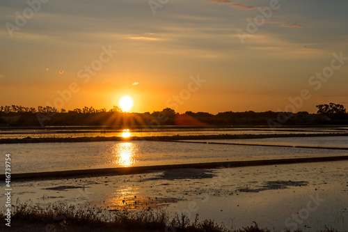 El Palmar, Albufera, Valencia, Spain