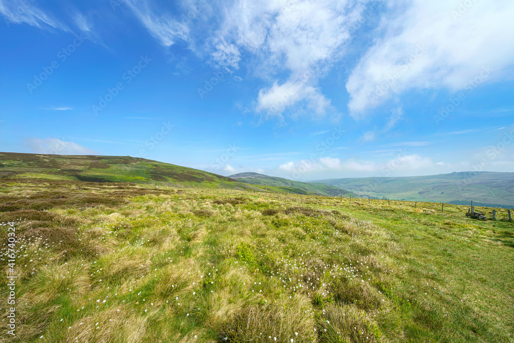 Summer meadow scenery above Langleeford below Scald Hill and The Cheviot in the Northumberland hills, UK landscape. Summer meadow scenery above Langleeford below Scald Hill and The Cheviot in the Northumberland hills, UK landscape.