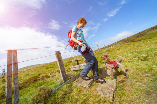 A female hiker crossing a stile with their dog in the Northumberland hills, UK landscape.