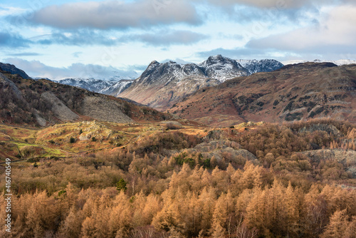 Majestic Winter landscape image view from Holme Fell in Lake District towards snow capped mountain ranges in distance in glorious evening light with Autumnal colors trees © veneratio